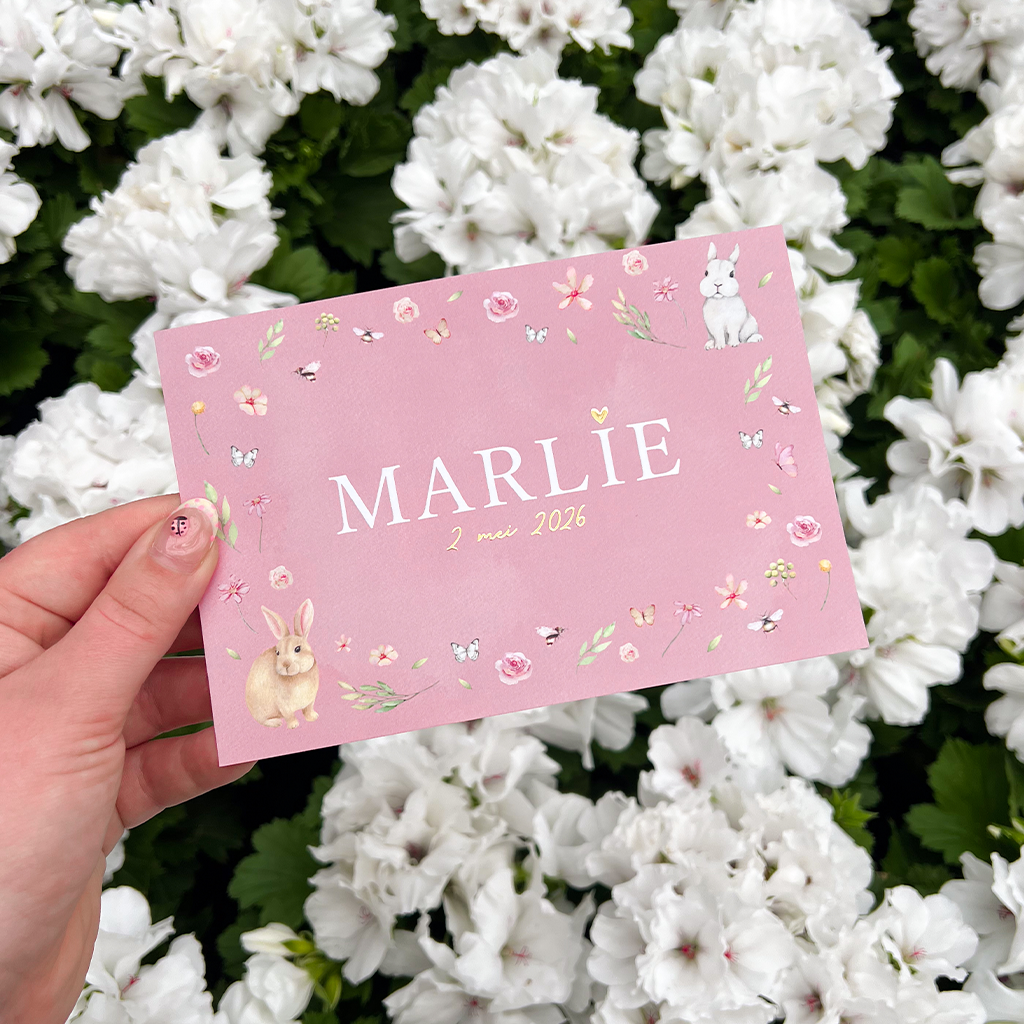 carousel-Marlie