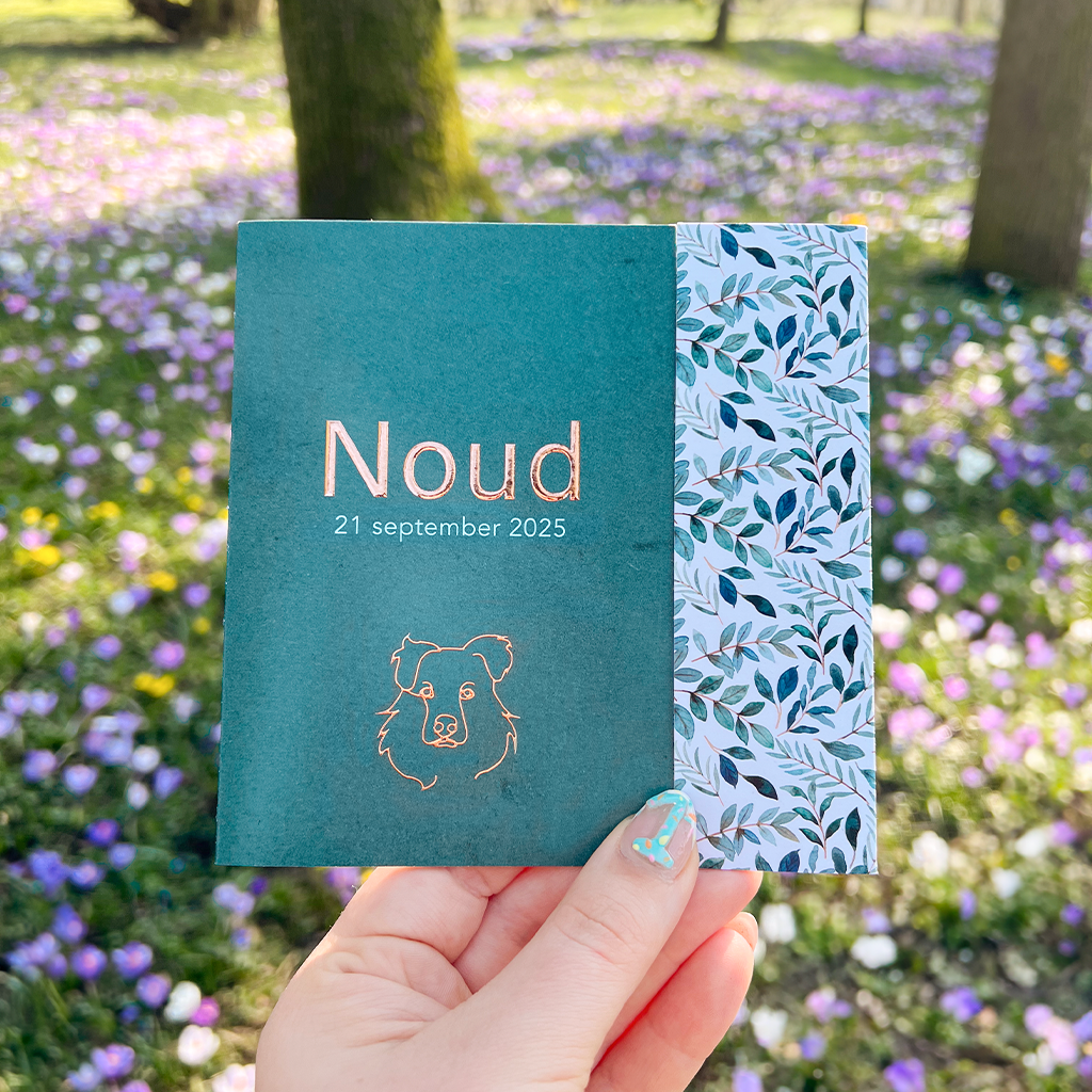 carousel-Noud