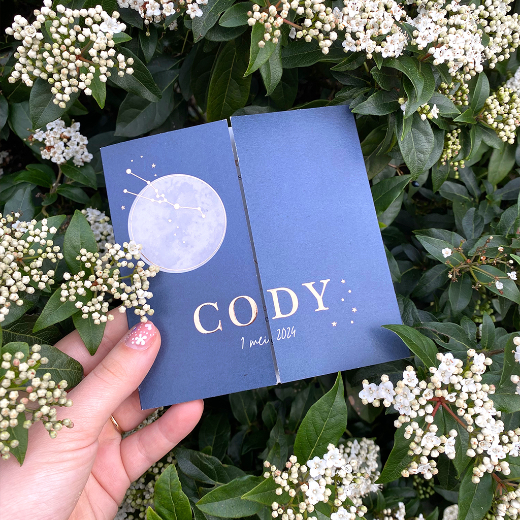 carousel-cody