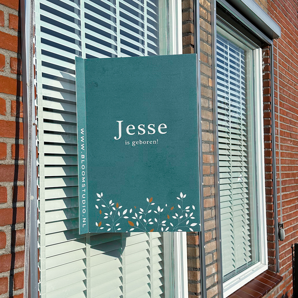 carousel-jesse-raambord