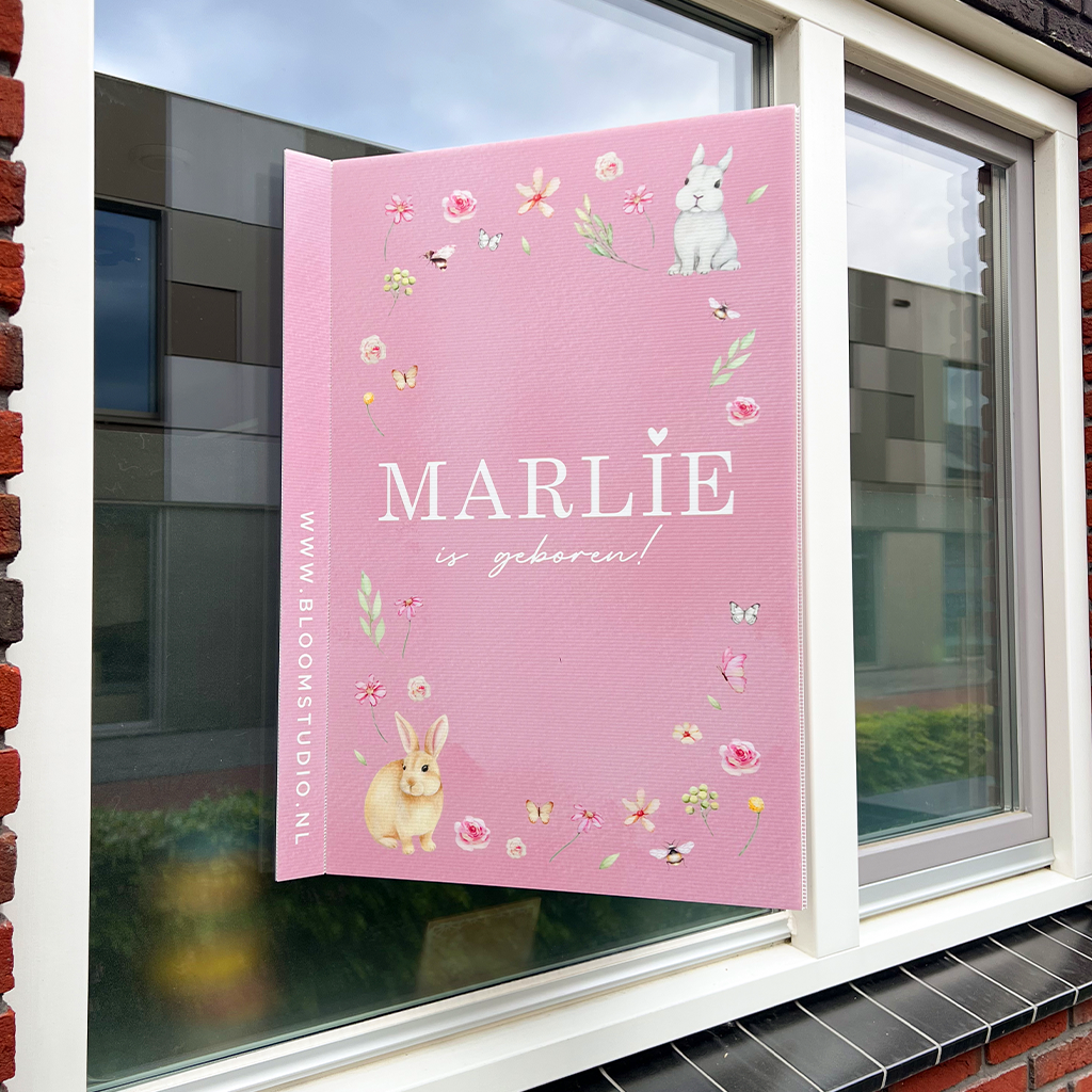 carousel-marlie-raambord