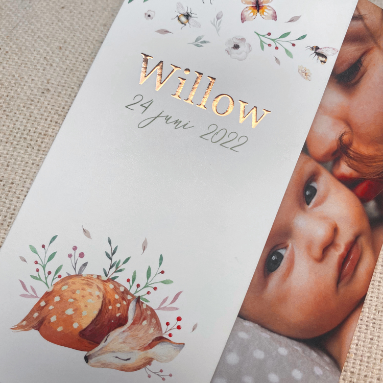 Willow-1200x1200px