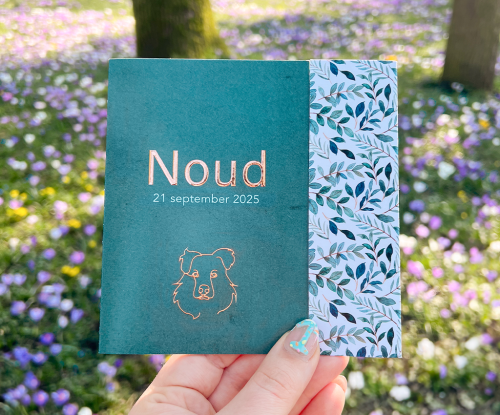 carousel-Noud